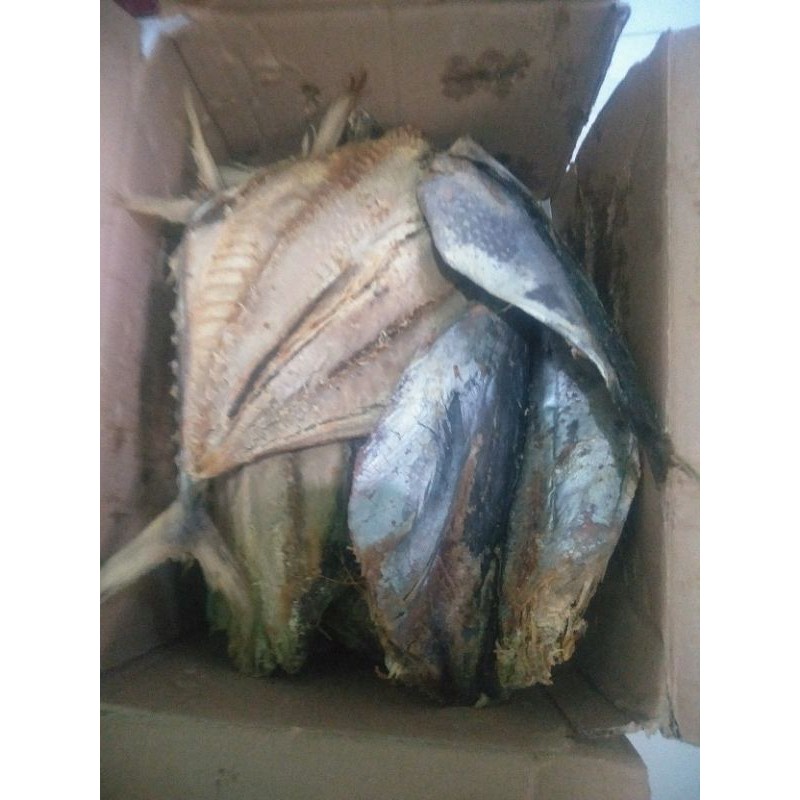 

Tpngkol kering asin