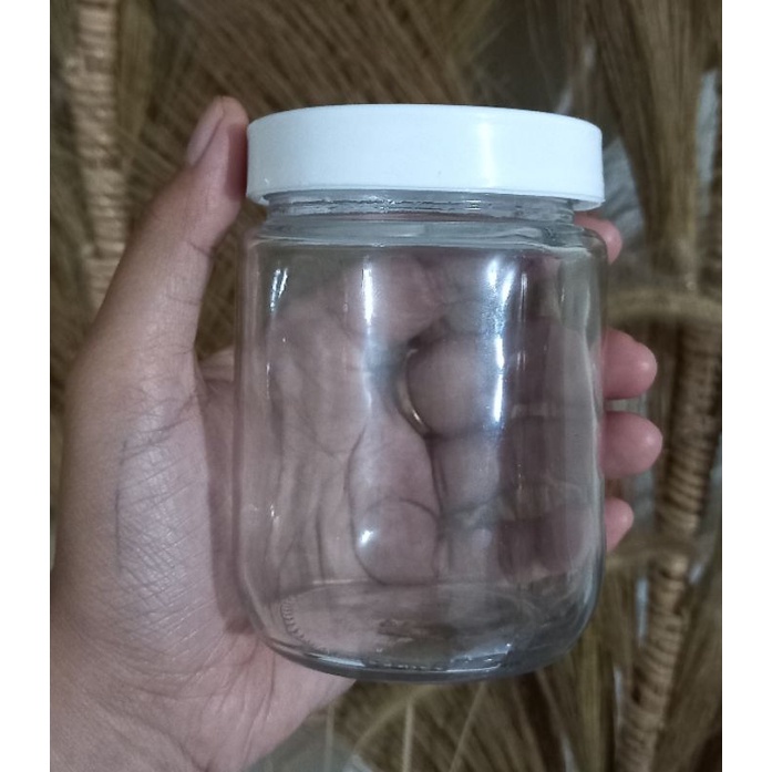 GELAS TOPLES GELAS HIAS TOPLES HIAS GELAS TERRARIUM GELAS TERARIUM GELAS KAKTUS GELAS SEKULEN GELAS 