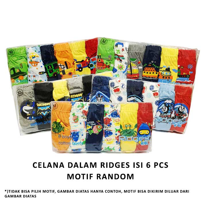 CELANA DALAM RIDGES ISI 6 PCS MOTIF RANDOM