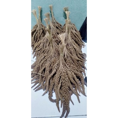 jewawut tangkai, spray milet kemasan 100g