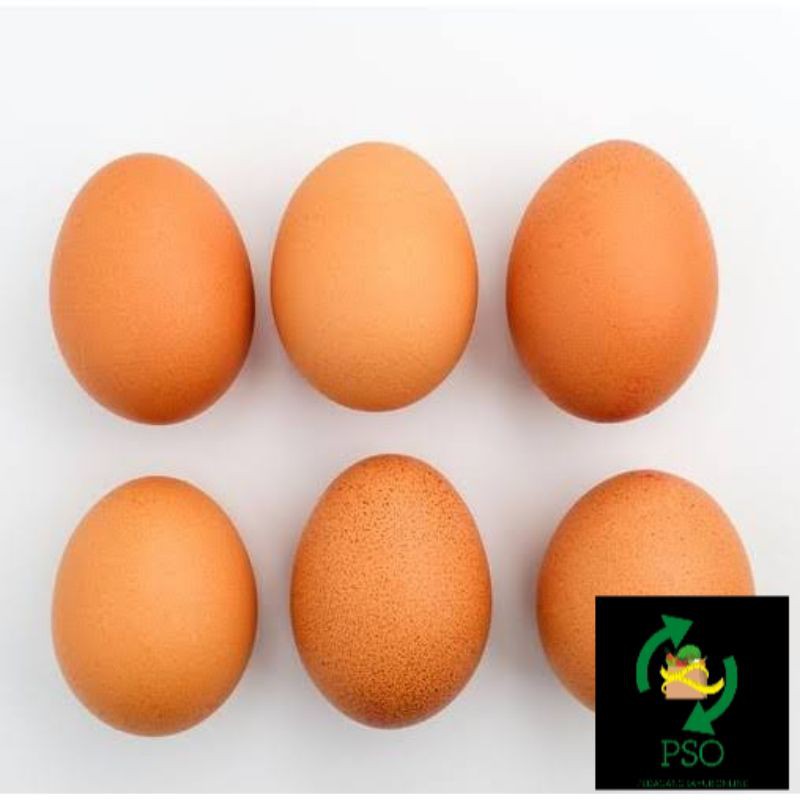 

TELOR AYAM/500GR