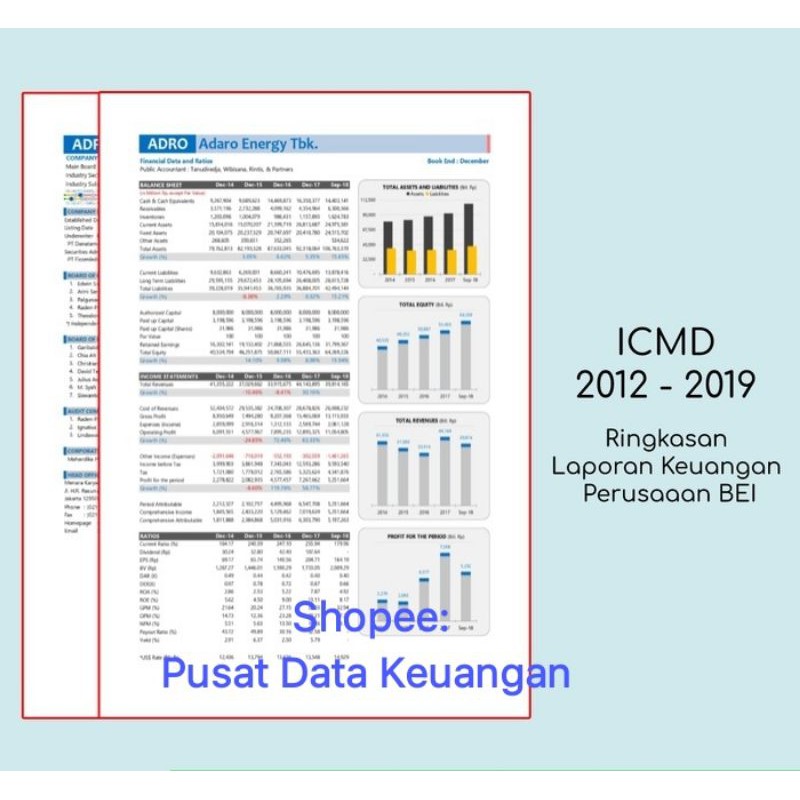 Ringkasan Laporan Keuangan Idx 2002 2018 Shopee Indonesia