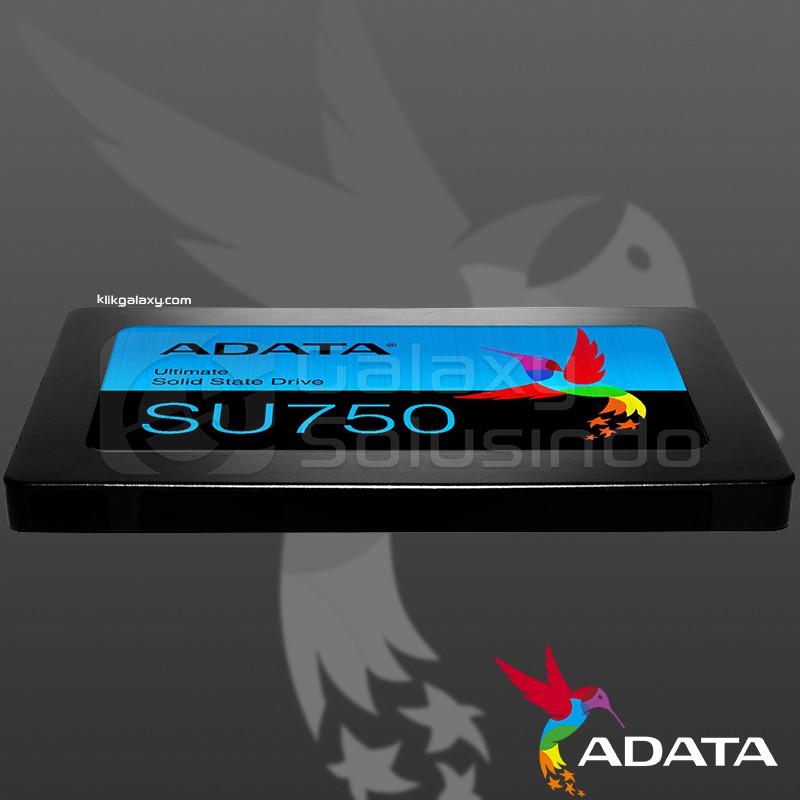 Adata SU750 1TB SSD