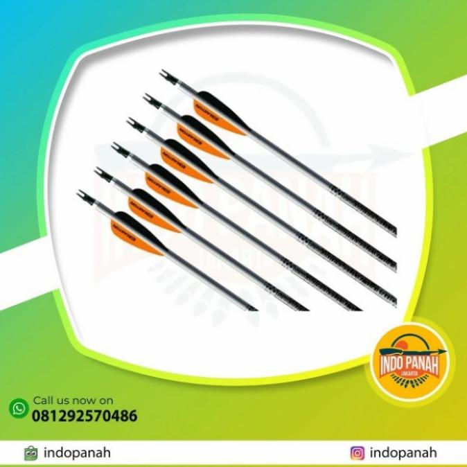 ARROW PLATINUM EASTON 6 pcs