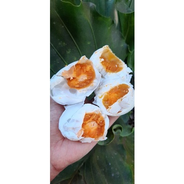 

Telur Asin MASIR JUMBO minim order 10butir pre order