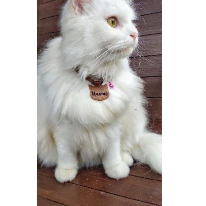 Serbuuuu.. Premium Kalung Kucing Custom Ukir Grafir Nama - Double Nametag Bulat / Tulang / Kepala Ku