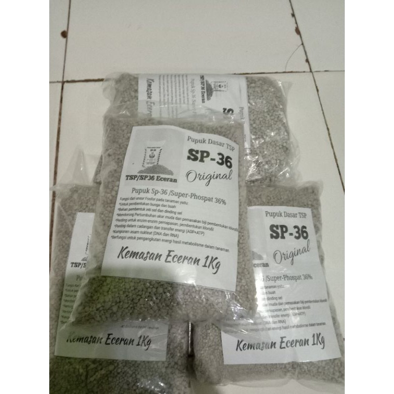 Pupuk TSP/SP36 Pupuk Dasar Untuk Pertanian dan Perkebunan / SP36