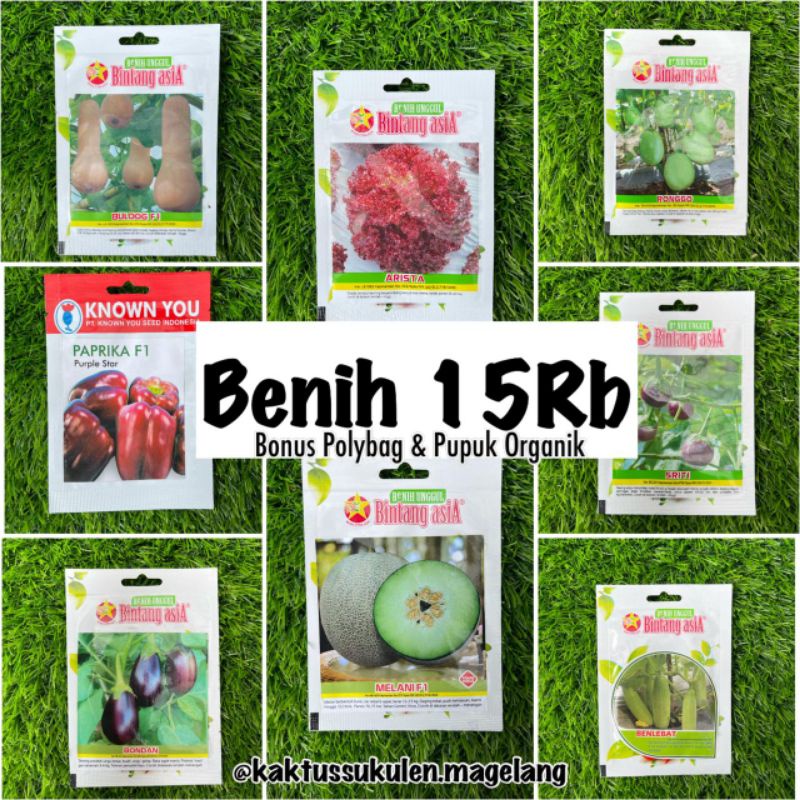 Benih 15rb