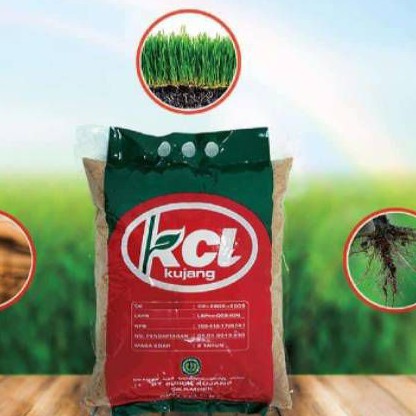 Pupuk KCL "kujang" (5kg)