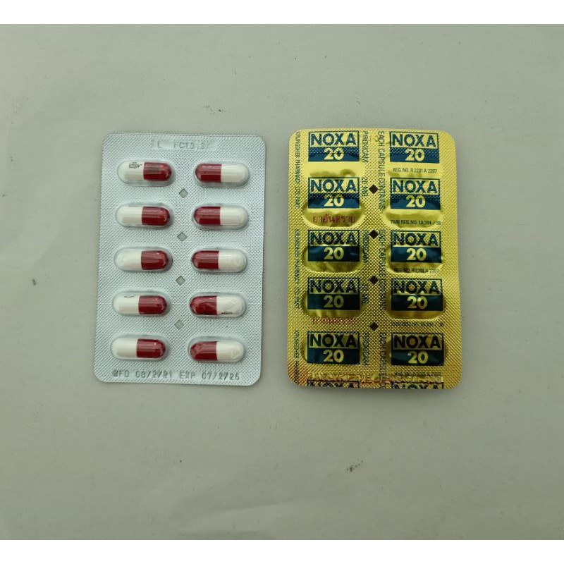 Noxa 20 - Obat Rematik Import thailand