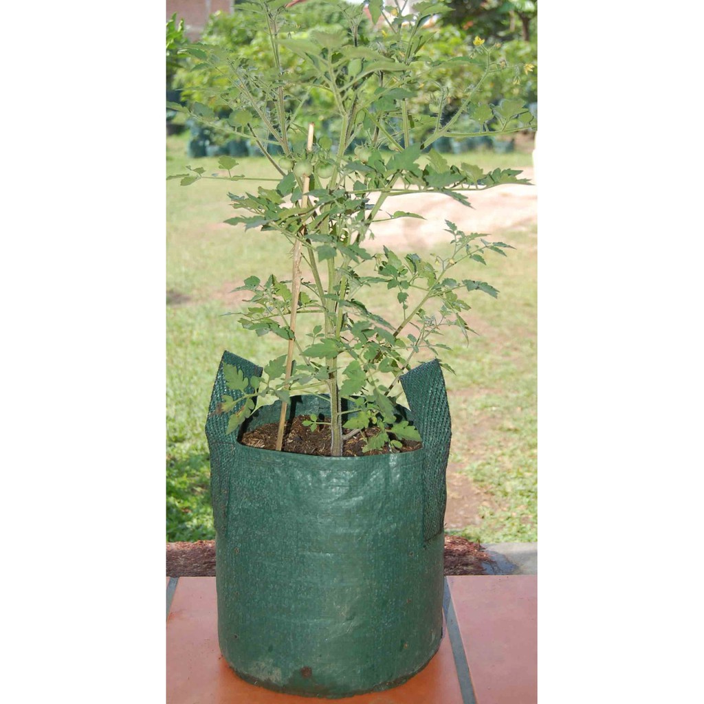 Planter bag 15 Liter EASY GROW planterbag 15liter easygrow kantong Pot polybag semai benih bibit Tanaman bunga sayuran buah planter bag