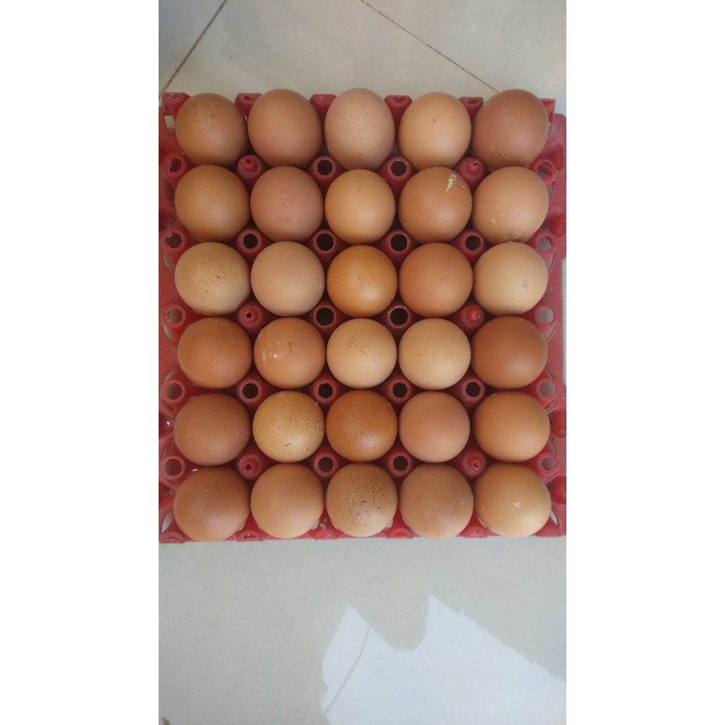 

Telur Tabanan