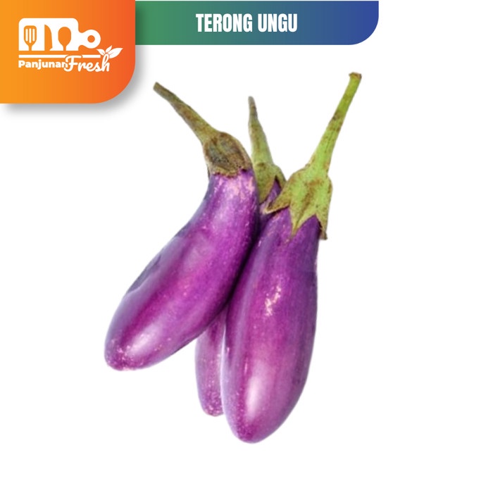 

TERONG UNGU 500 GRAM