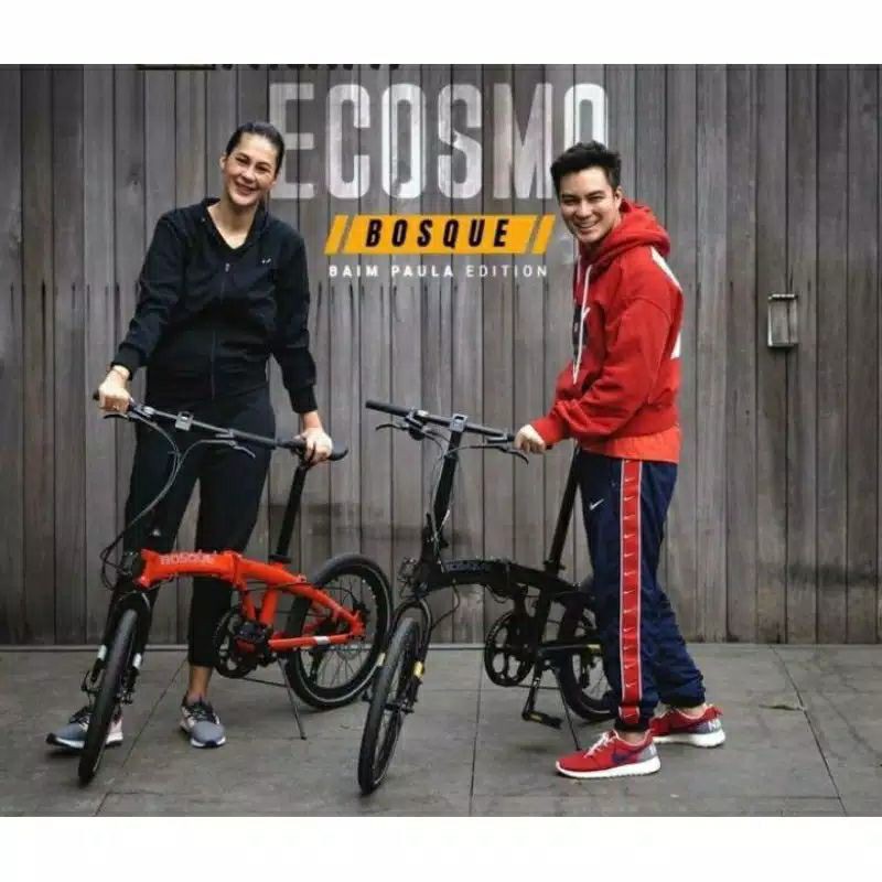 Sepeda Lipat Element 20 Ecosmo 8 Bosque