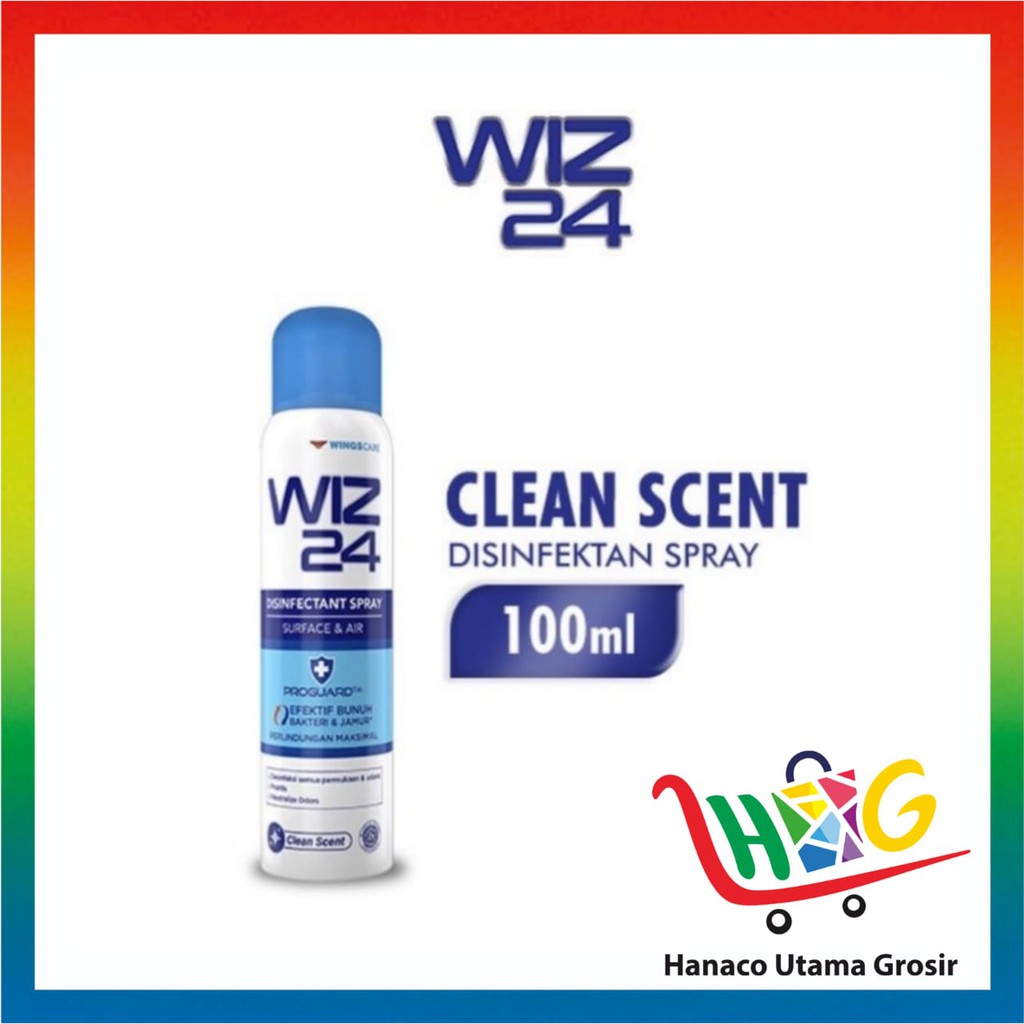 Wiz 24 Disinfectant Spray Aerosol 100 ml