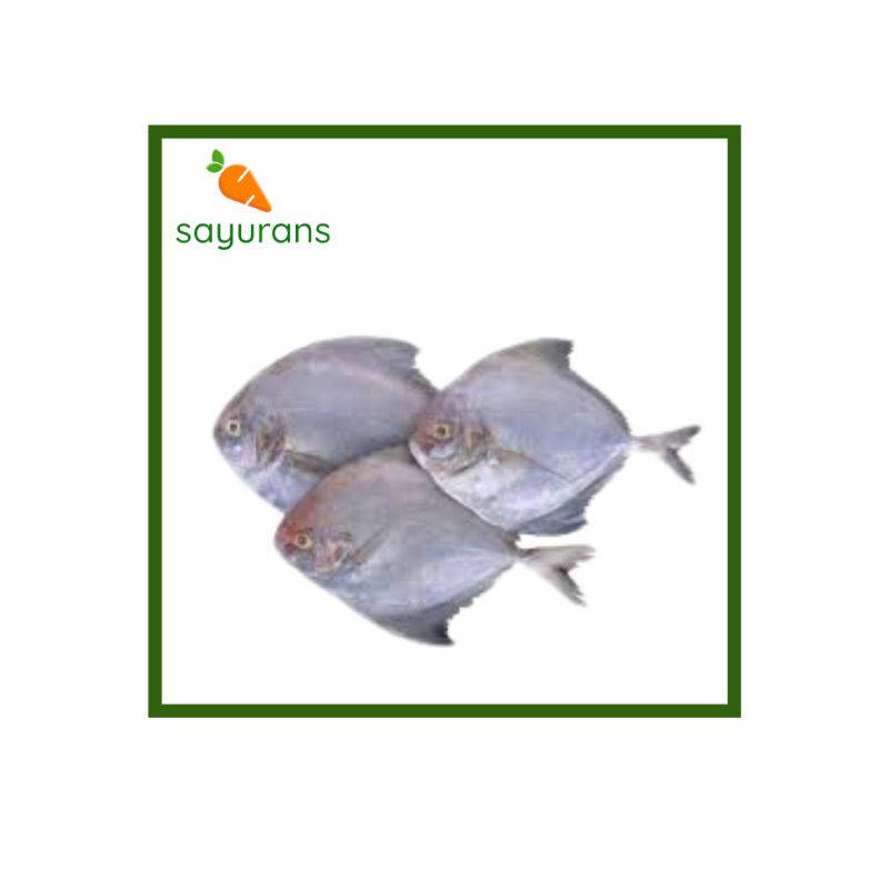 

SAYURANS Ikan Bawal Laut -+ 1 KG