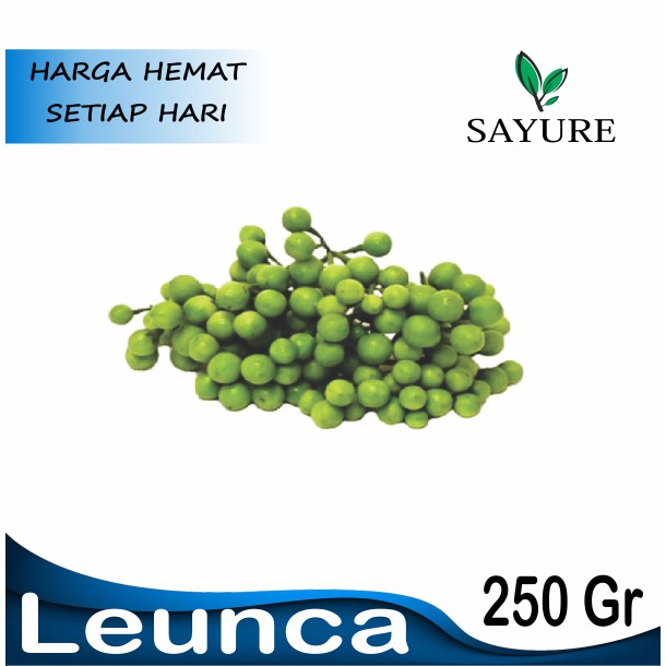 

LENCA LEUNCA FRESH 250 GR