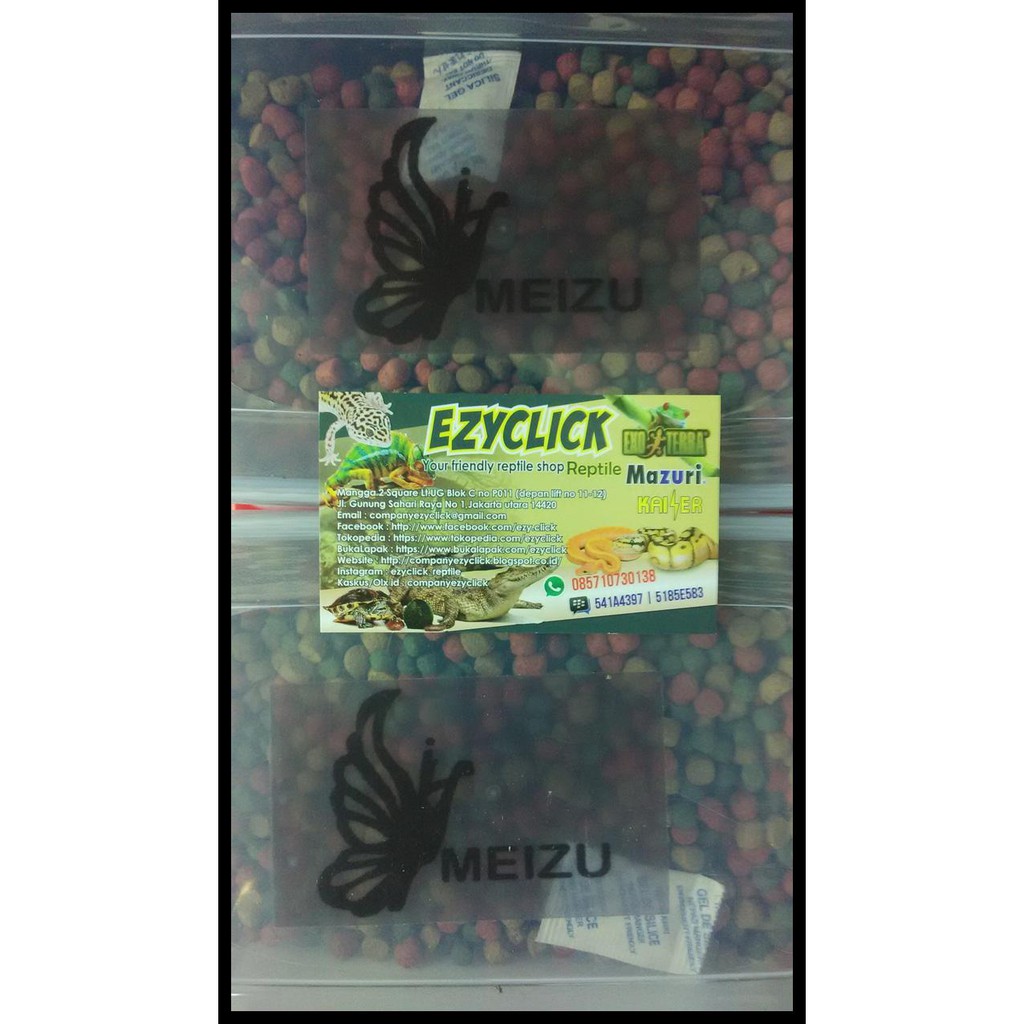 New Meizu Tortoise Food Qr0073 Shopee Indonesia