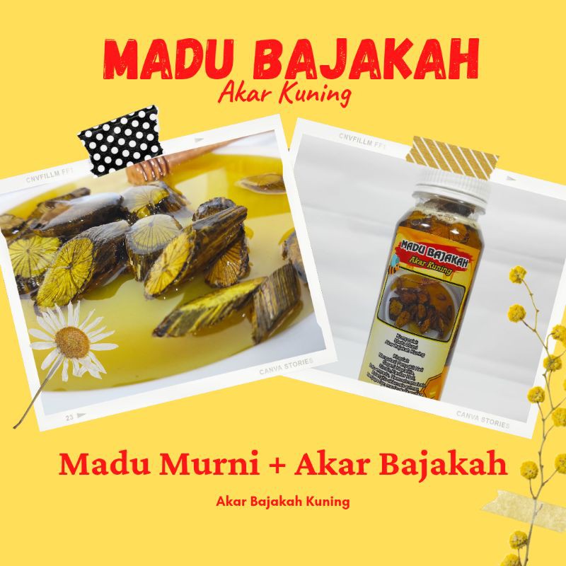 

Madu Bajakah Termurah Asli Akar Kuning untuk Penderita Hepatitis dan Kanker Hati 320gram