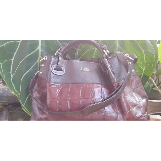 Tas donini reon
