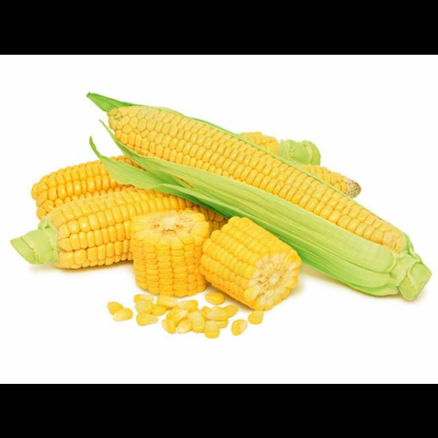 

JAGUNG MANIS FRESH Harga per 500gr