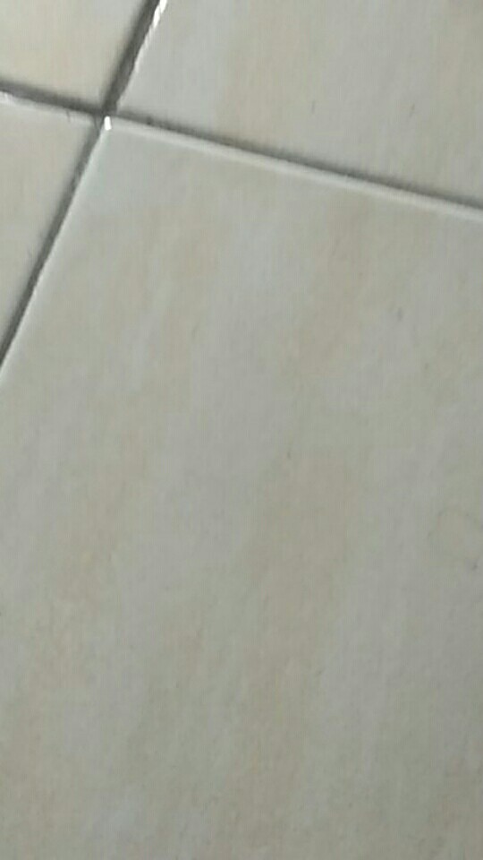 Sunlight 755ml / Sabun Cuci Piring