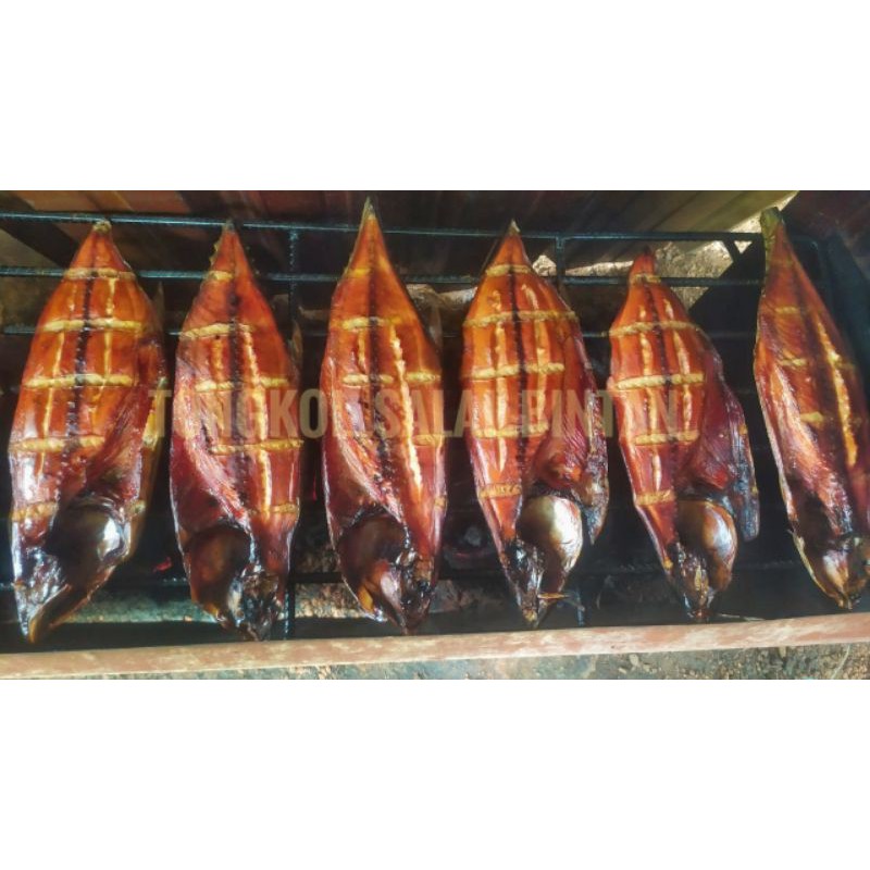 

Tongkolsalaiibintan