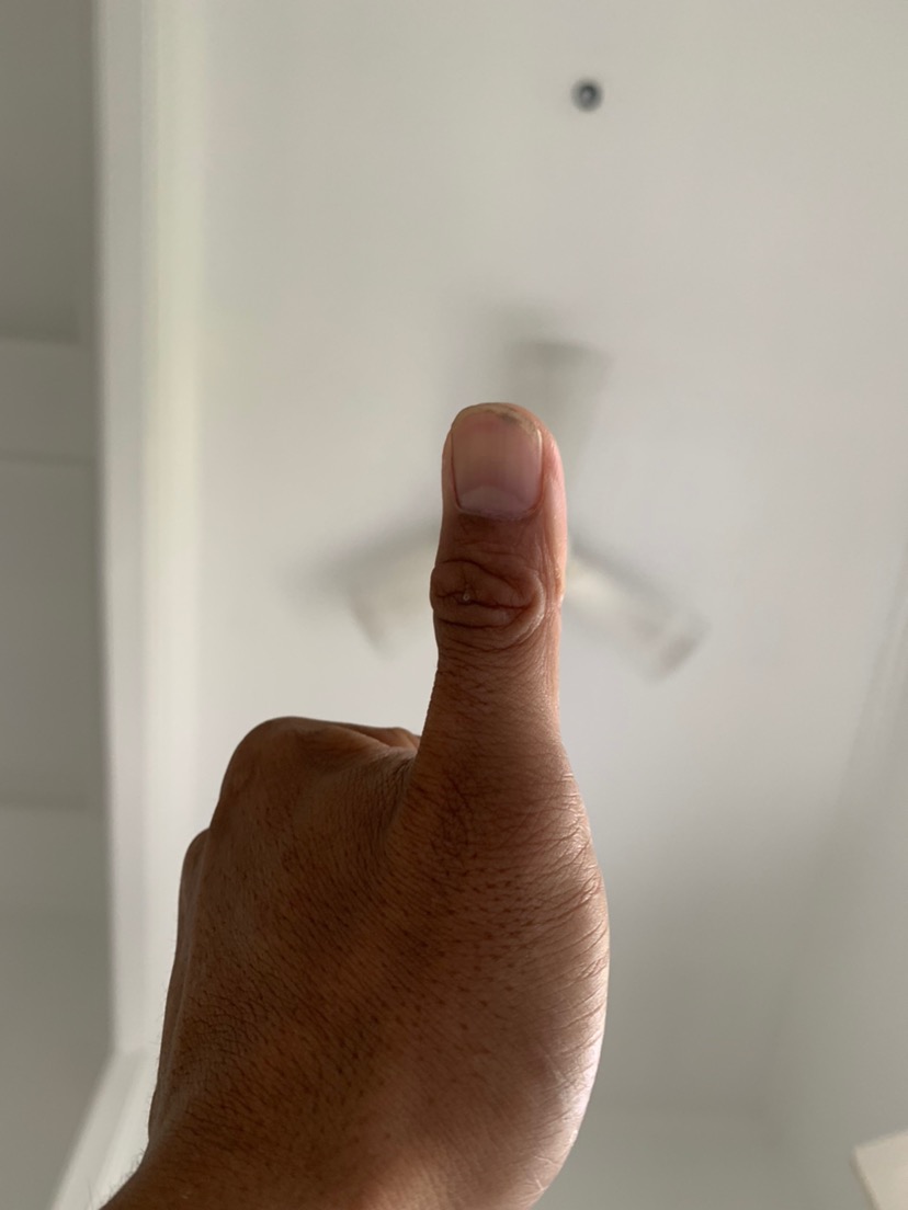 Paket Filter Air Berbesi Housing Clear 10 Drat 3/4- Nanotec - Putih