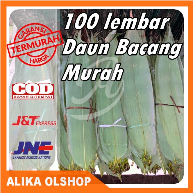 

100 LEMBAR DAUN BACANG / DAUN BAKCANG / DAUN KICANG / DAUN BAMBU / DAUN BUNGKUS BACANG [ fresh ]