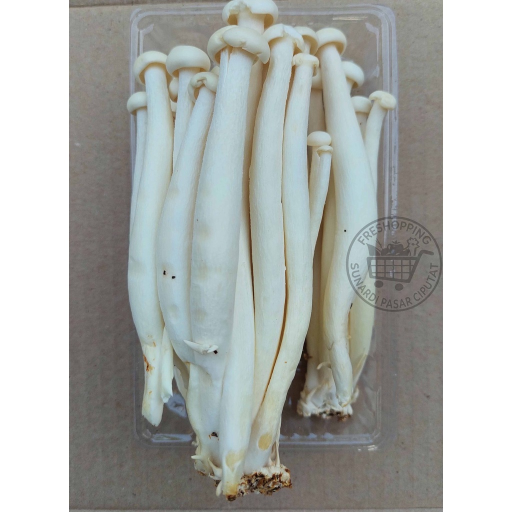 Jamur YongJia White Crad MUSHROOM ±150gr