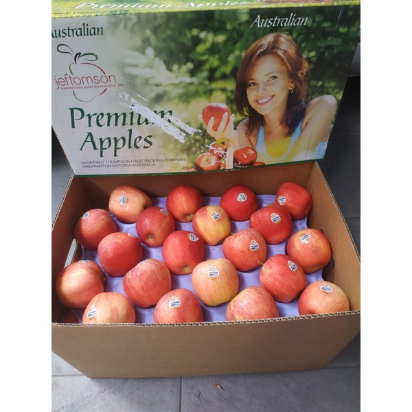 Apel Royal Gala Australia 1 Dus (17 Kg) Fresh Import