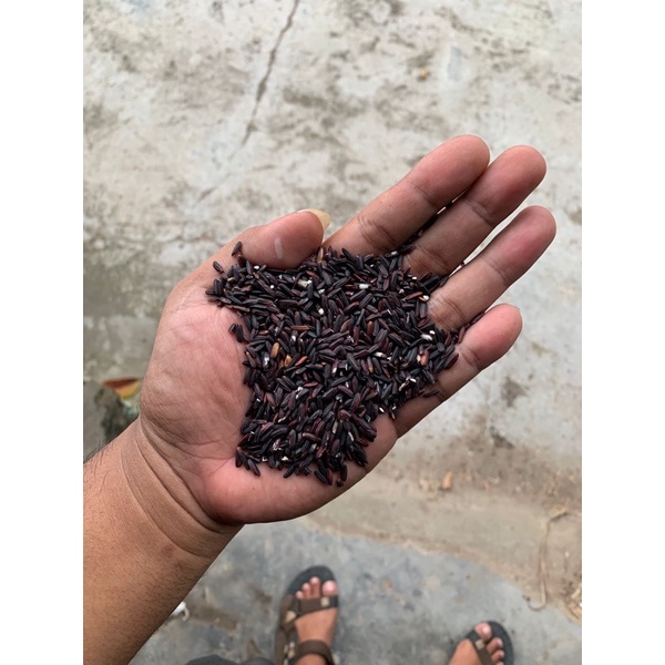 

ketan hitam super