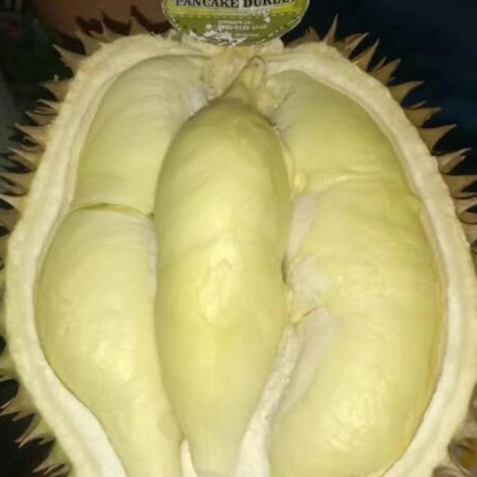 Duren Montong Palu Utuh / Durian Mateng Pohon