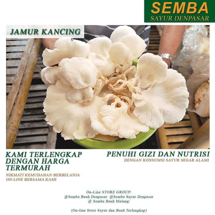 

JAMUR TIRAM DENPASAR BALI sayur sayuran sembako bumbu dapur lauk food bahan makanan murah fresh