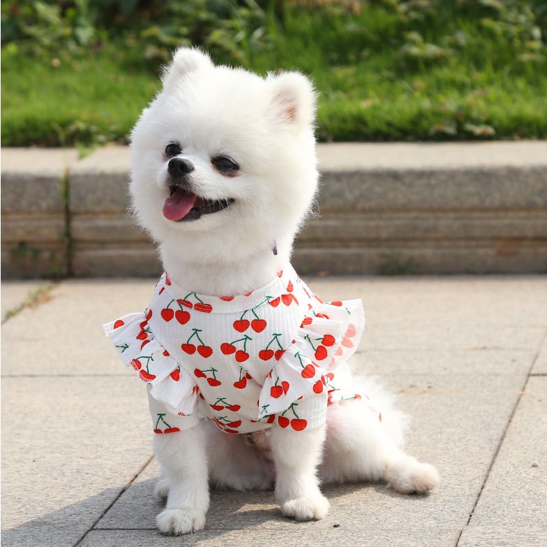 ★〓YUFeiPet〓★ Pet dog clothes soft pajamas cute cherry print puppy vest T-shirt all season pet clothes shirt cat clothes