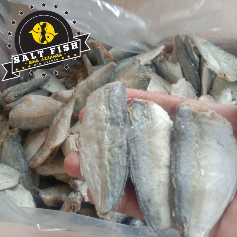 

Ikan Asin Peda Buntung Tanggung / BTPT Kualitas Super (1 Kg)