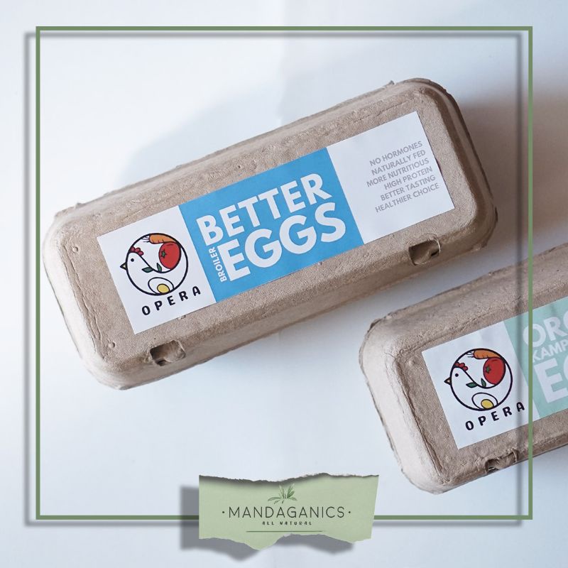 

TELUR AYAM KAMPUNG ORGANIK | TELUR AYAM NEGERI ORGANIC EGG (READY STOCK)