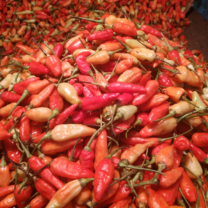 

Buruan Beli - (Murah) Cabe Cabai Rawit Merah 1 Kg / Cabe Setan | Buah Sayur Jaksel