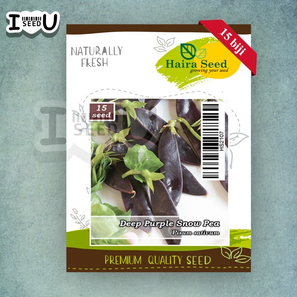 Haira Seed Bibit-Biji Kacang Kapri Deep Purple Snow Pea