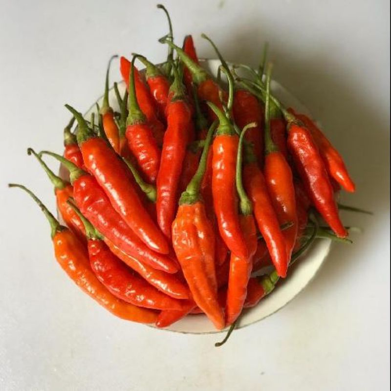 

Cabe rawit merah/ Cabe caplak 250 gram