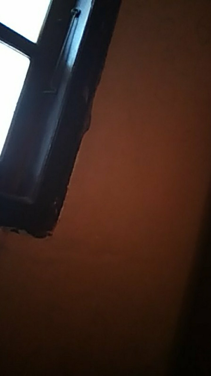 Cetakan Takoyaki Jumbo 12 Lubang + Tutup Kaca