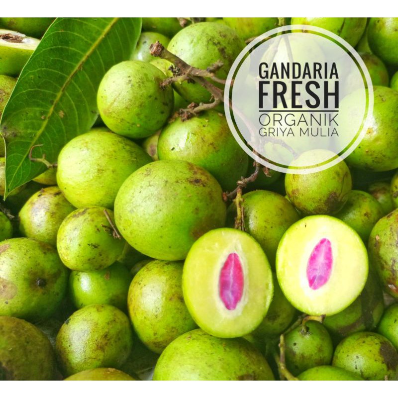 Daftar Harga Buah Gandaria Bulan Mei 2021 Terbaru