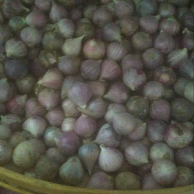 

Paket hemat 5000/5kilo bawang lanang/bawang putih tunggal