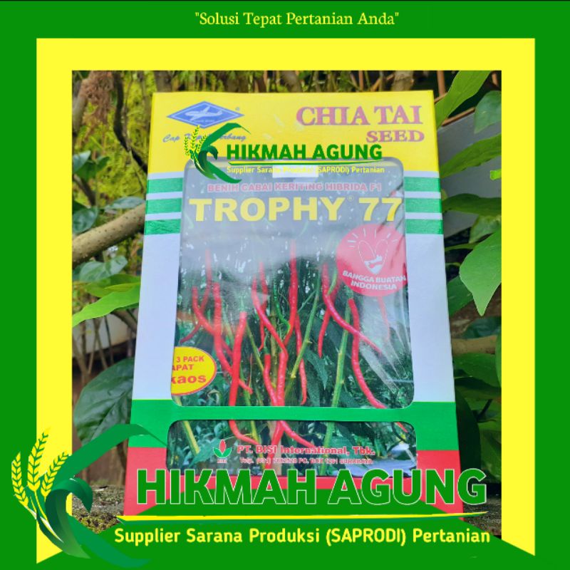 10 gr Benih Cabai Keriting Trophy Benih Cabe Trophy Bibit Cabe Keriting Tropi - Chia Tai Seed