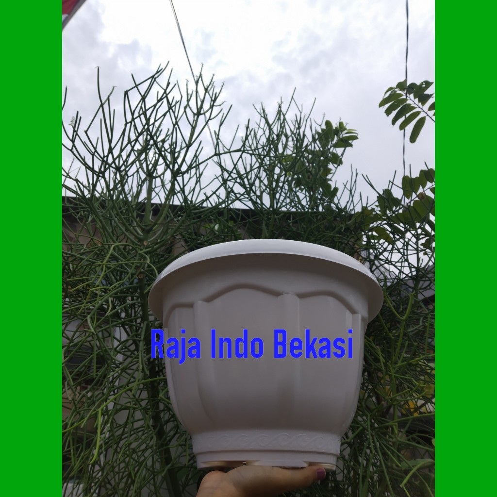 Paketan 3 Pcs Pot Vigo Great 35 Putih -  Pot Tanaman Aglonema Lidah Mertua Keladi Bukan Pot Tawon