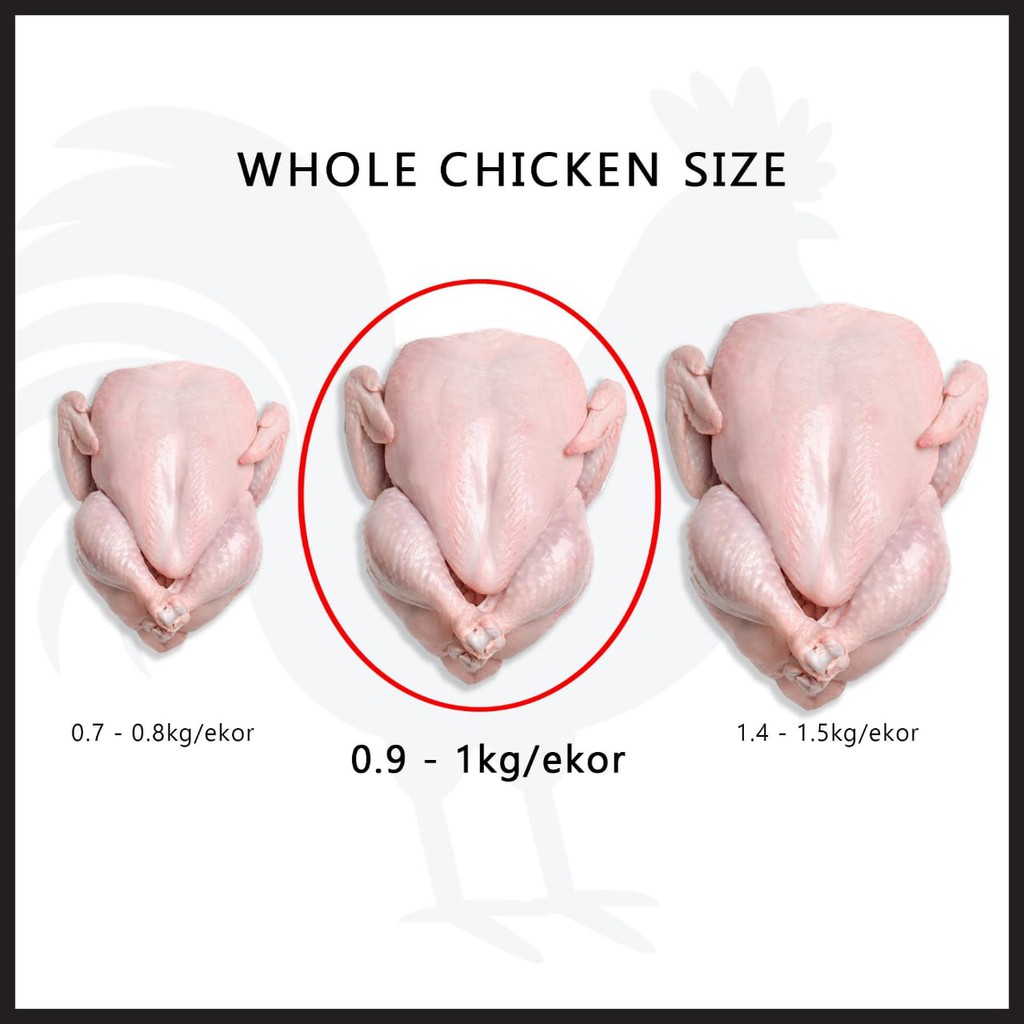 

Ayam karkas / pkk (ayam broiler) 0,9 - 1kg