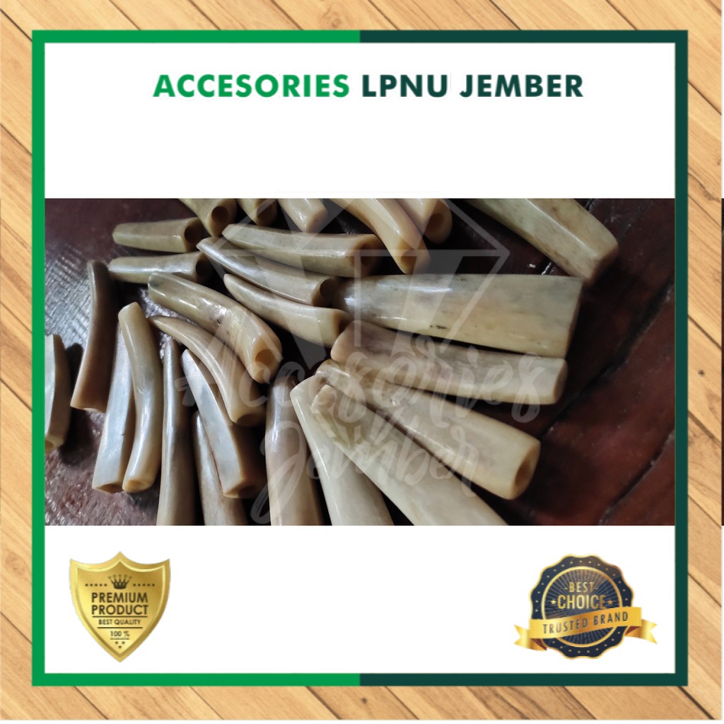 Pipa Once TULANG IGA DUYUNG KRISTAL Terjamin Asli Termurah /