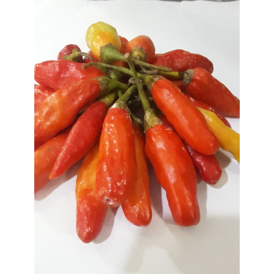 

CABAI RAWIT MERAH 100gr