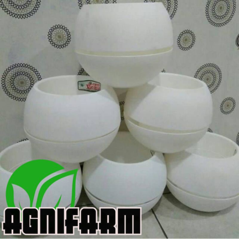 POT BOLA PUTIH 14 CM POT BUNGA PLASTIK 18 CM BIBIT POT BOLA VIENA VENNA FENA FIENA