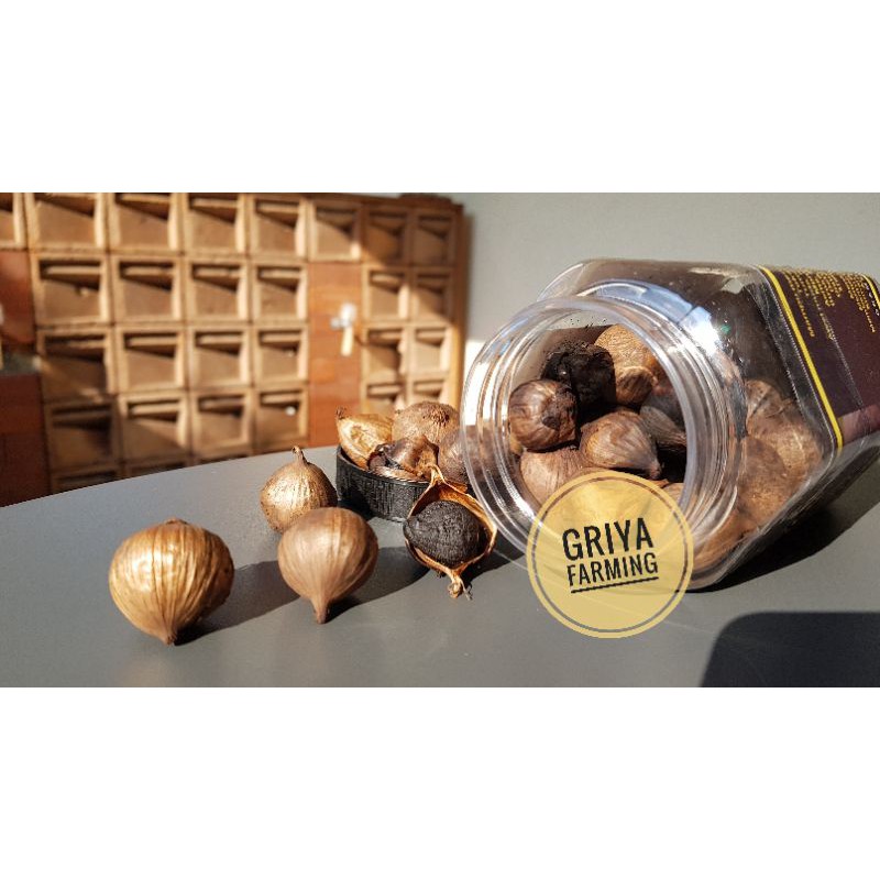 

Sehat Black Garlic - Bawang Hitam Lanang/Tunggal